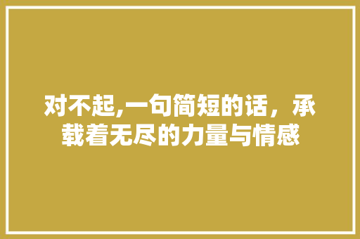 对不起,一句简短的话，承载着无尽的力量与情感