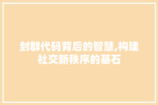封群代码背后的智慧,构建社交新秩序的基石