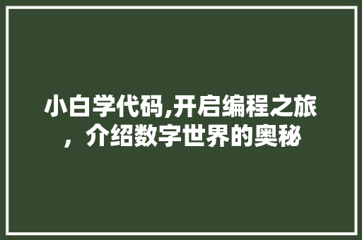 小白学代码,开启编程之旅，介绍数字世界的奥秘