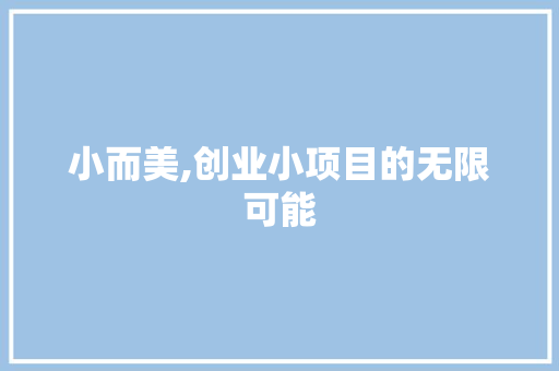 小而美,创业小项目的无限可能