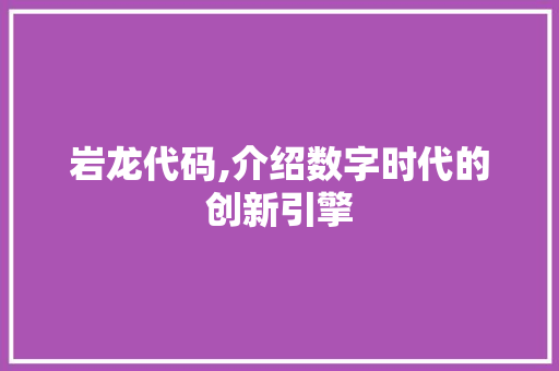 岩龙代码,介绍数字时代的创新引擎