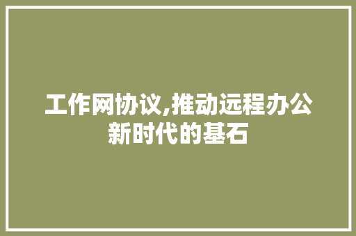 工作网协议,推动远程办公新时代的基石