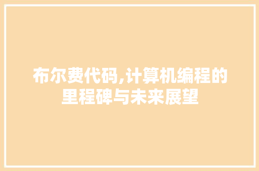 布尔费代码,计算机编程的里程碑与未来展望