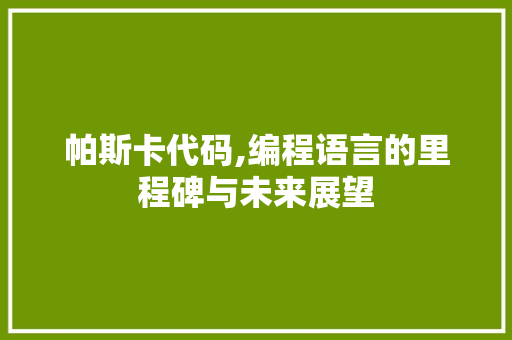 帕斯卡代码,编程语言的里程碑与未来展望