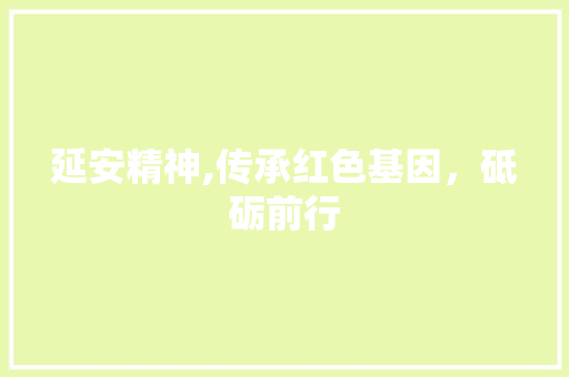 延安精神,传承红色基因，砥砺前行