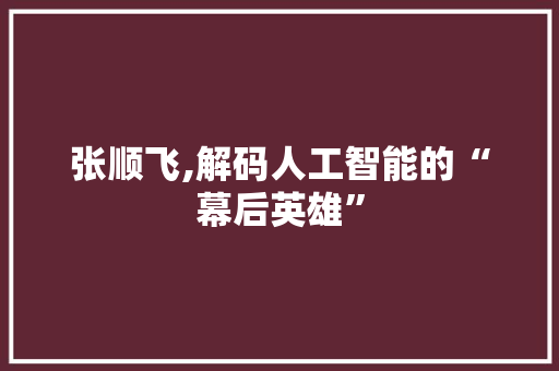 张顺飞,解码人工智能的“幕后英雄”