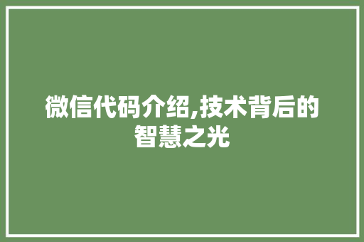 微信代码介绍,技术背后的智慧之光