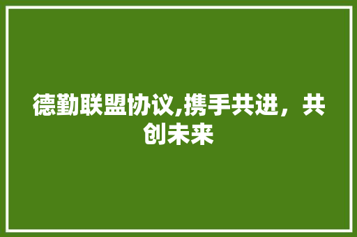 德勤联盟协议,携手共进，共创未来