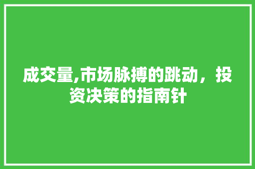 成交量,市场脉搏的跳动，投资决策的指南针