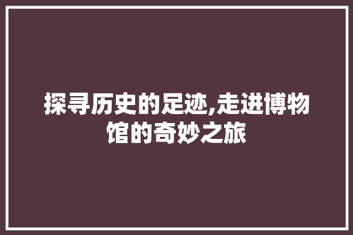 探寻历史的足迹,走进博物馆的奇妙之旅
