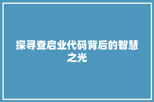 探寻查启业代码背后的智慧之光