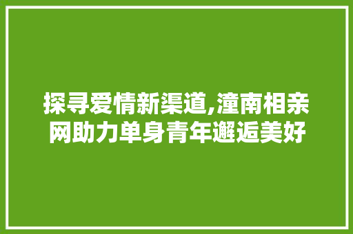 探寻爱情新渠道,潼南相亲网助力单身青年邂逅美好