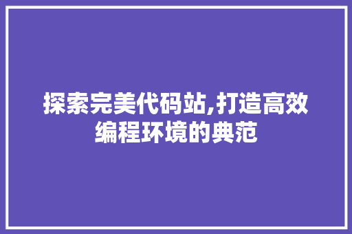 探索完美代码站,打造高效编程环境的典范