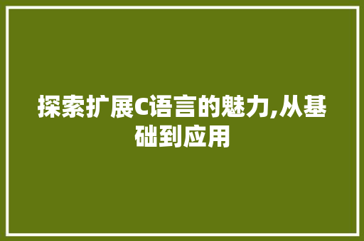 探索扩展C语言的魅力,从基础到应用
