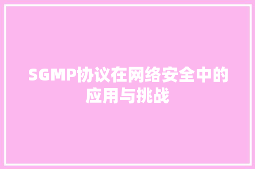 SGMP协议在网络安全中的应用与挑战