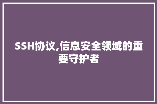 SSH协议,信息安全领域的重要守护者