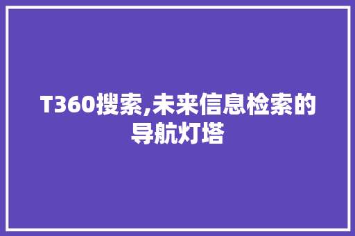 T360搜索,未来信息检索的导航灯塔