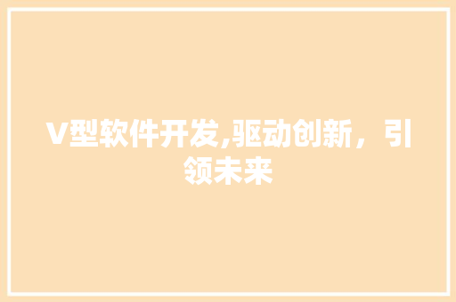 V型软件开发,驱动创新，引领未来
