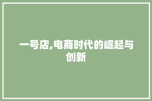 一号店,电商时代的崛起与创新
