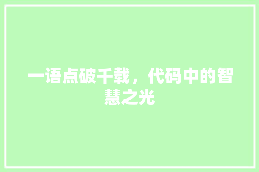 一语点破千载，代码中的智慧之光