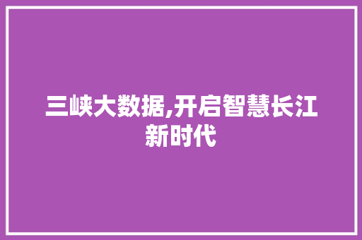 三峡大数据,开启智慧长江新时代