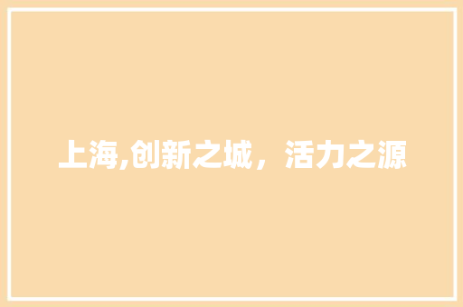 上海,创新之城，活力之源