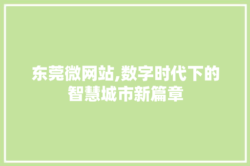 东莞微网站,数字时代下的智慧城市新篇章