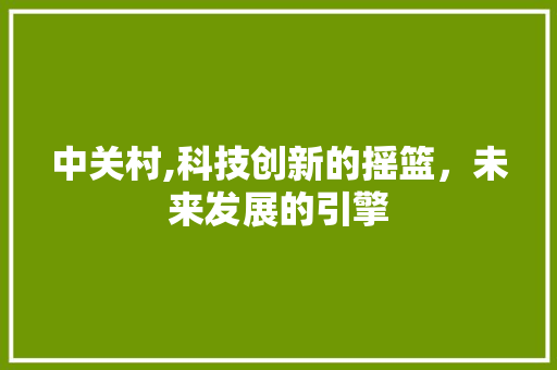 中关村,科技创新的摇篮，未来发展的引擎