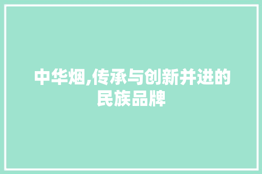 中华烟,传承与创新并进的民族品牌