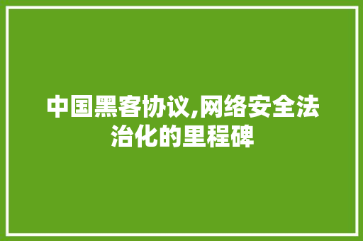 中国黑客协议,网络安全法治化的里程碑