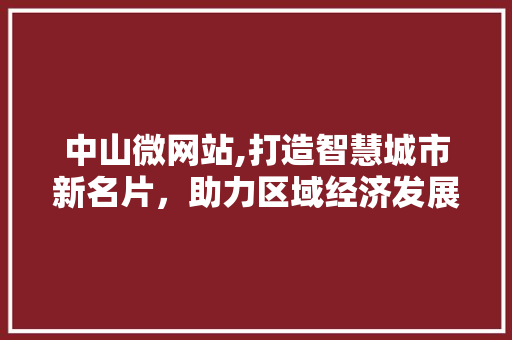 中山微网站,打造智慧城市新名片，助力区域经济发展