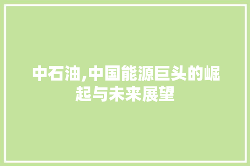 中石油,中国能源巨头的崛起与未来展望