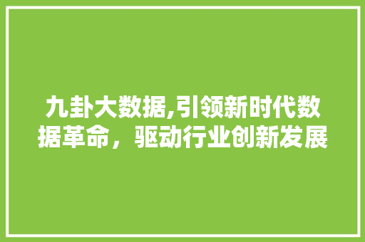 九卦大数据,引领新时代数据革命，驱动行业创新发展
