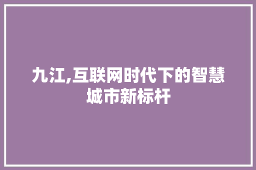 九江,互联网时代下的智慧城市新标杆