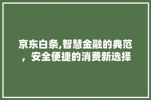 京东白条,智慧金融的典范，安全便捷的消费新选择
