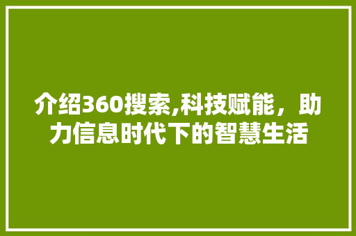 介绍360搜索,科技赋能，助力信息时代下的智慧生活