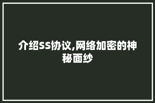 介绍SS协议,网络加密的神秘面纱
