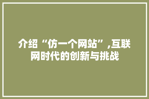 介绍“仿一个网站”,互联网时代的创新与挑战