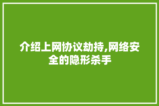 介绍上网协议劫持,网络安全的隐形杀手