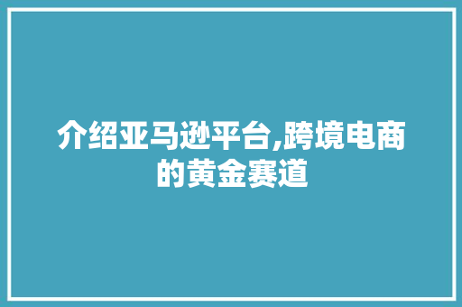 介绍亚马逊平台,跨境电商的黄金赛道