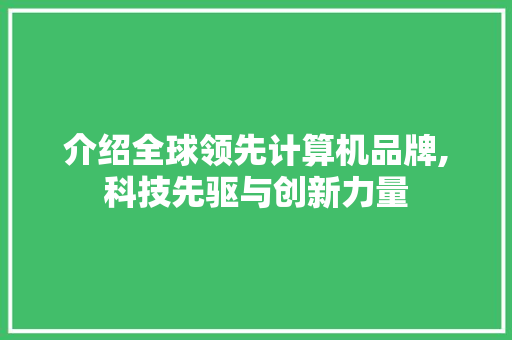 介绍全球领先计算机品牌,科技先驱与创新力量
