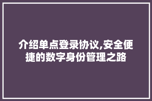 介绍单点登录协议,安全便捷的数字身份管理之路