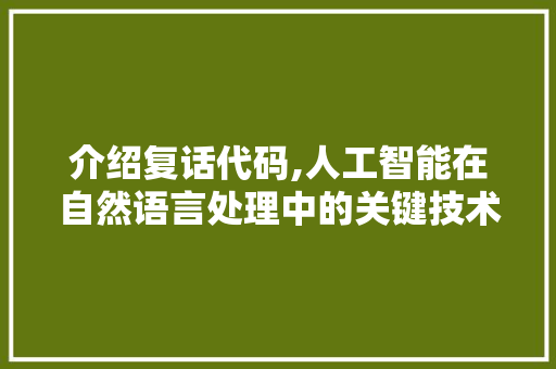 介绍复话代码,人工智能在自然语言处理中的关键技术