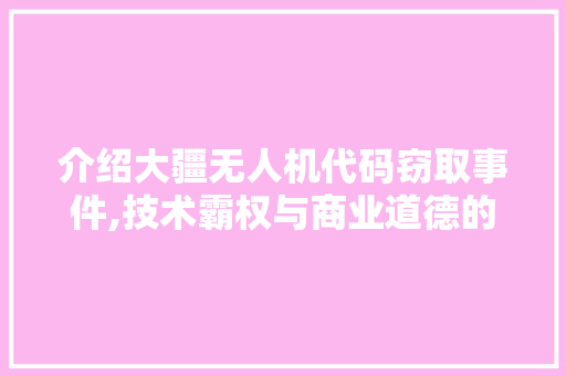介绍大疆无人机代码窃取事件,技术霸权与商业道德的碰撞