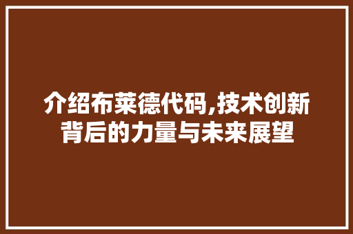 介绍布莱德代码,技术创新背后的力量与未来展望