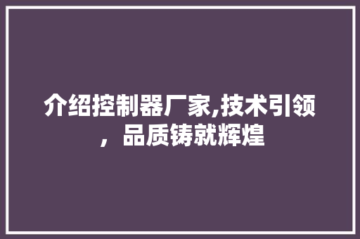 介绍控制器厂家,技术引领，品质铸就辉煌