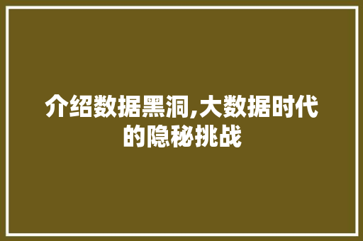 介绍数据黑洞,大数据时代的隐秘挑战
