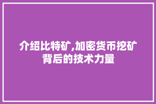 介绍比特矿,加密货币挖矿背后的技术力量