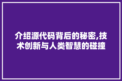 介绍源代码背后的秘密,技术创新与人类智慧的碰撞