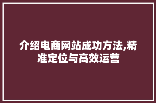 介绍电商网站成功方法,精准定位与高效运营